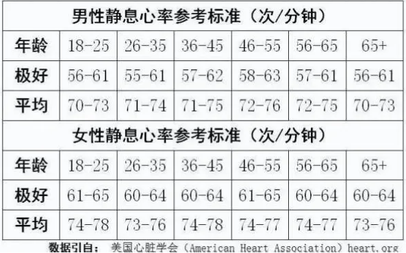 跑步最大心率是衡量运动强度的核心数据